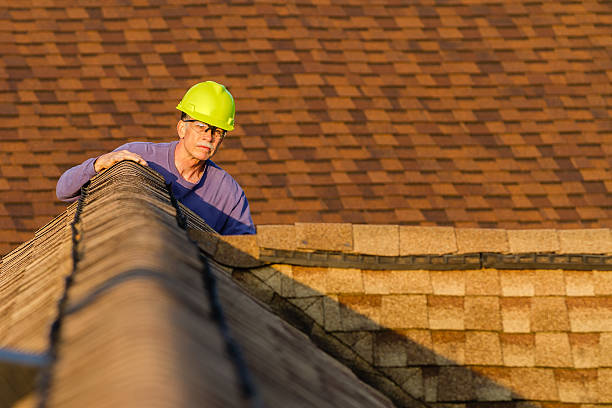 Best Local Roofing Companies  in Pilot Mountain, NC